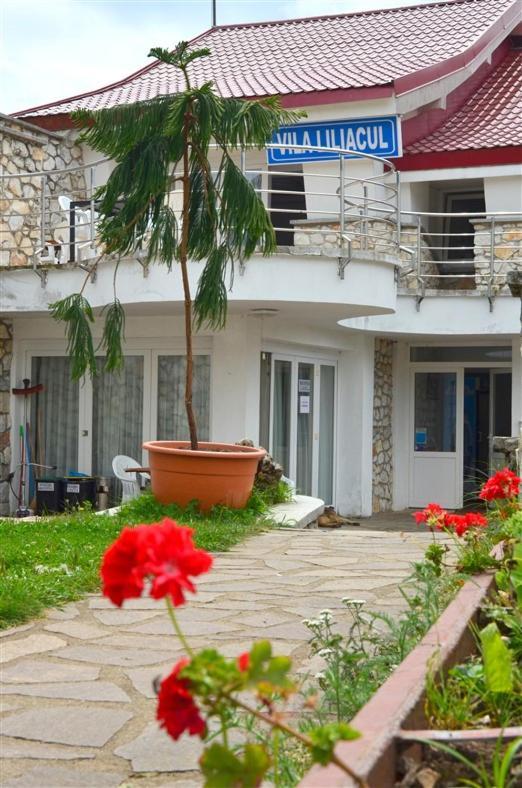 Vila Liliacul Stâna de Vale Exterior foto