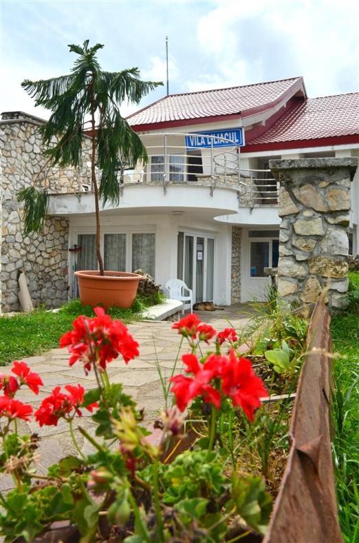 Vila Liliacul Stâna de Vale Exterior foto